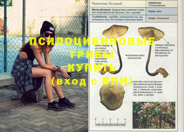 молекула духа Ступино